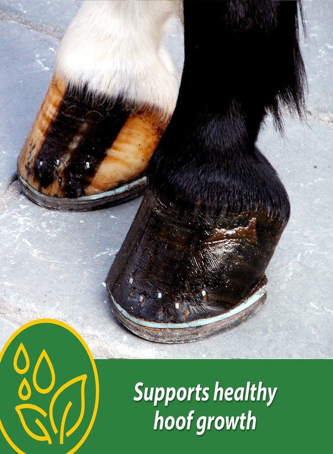 Farnam HB 15 Hoof Supplement, Supports healthy hoof growth 3 pound, 48 Day Supply - Image 2